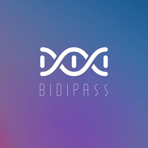 Bidipass ico